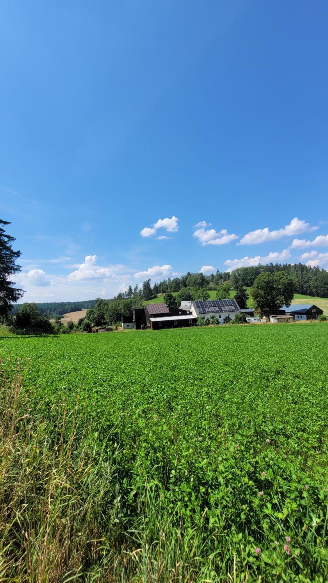 Ruhig Gelegene, Top Moderne Ferienwohnung - Hot Tub Und Sauna Gegen Aufpreis Neuhaus an Der Eger Bagian luar foto